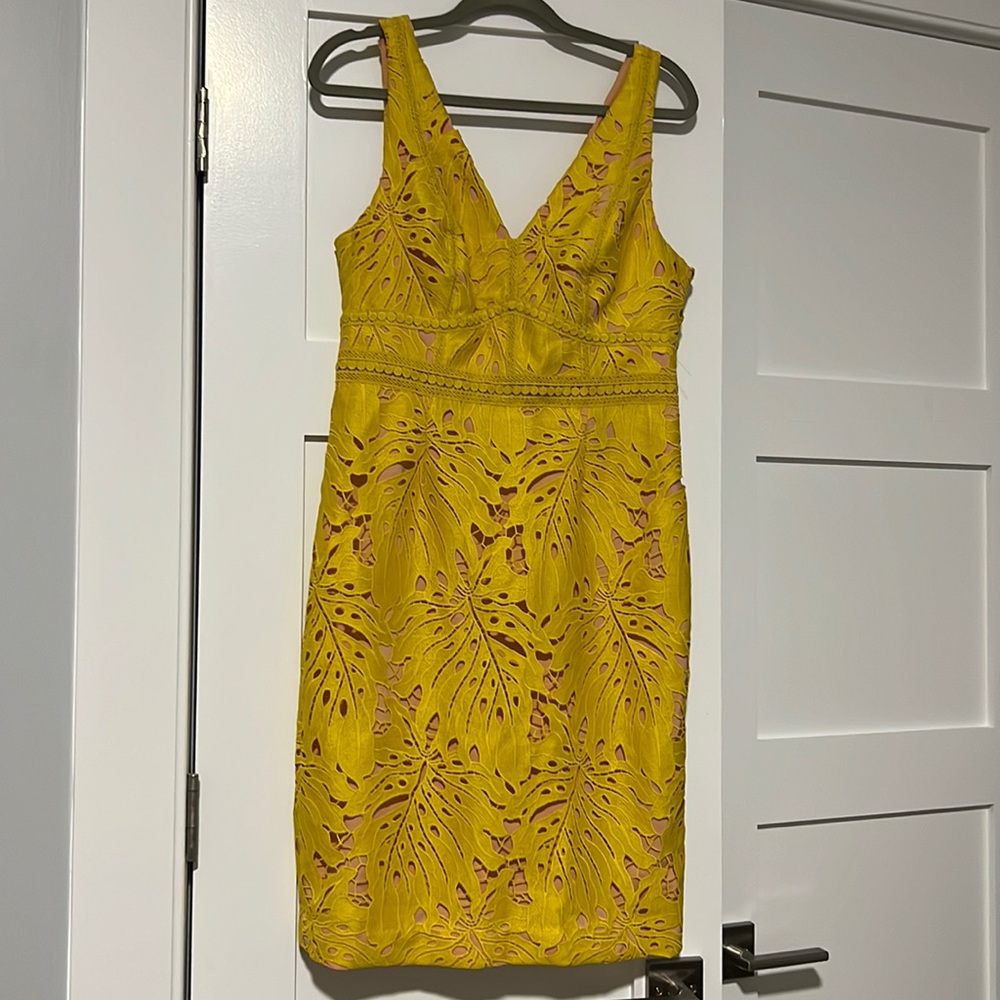 Anthropologie Maeve Gardenia Lace Column dress